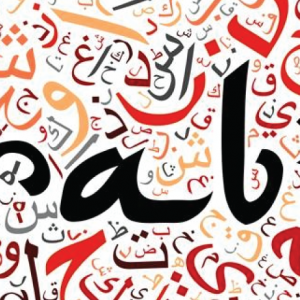 1_P8bs1e9tYH7yCM8EPQiJ3w Noor Al Bayan in 12 Weeks